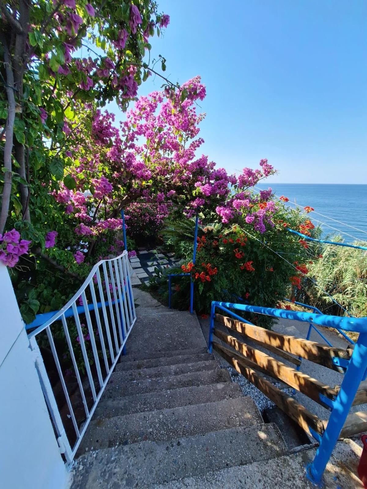 Sunset Appartement Ulcinj Buitenkant foto